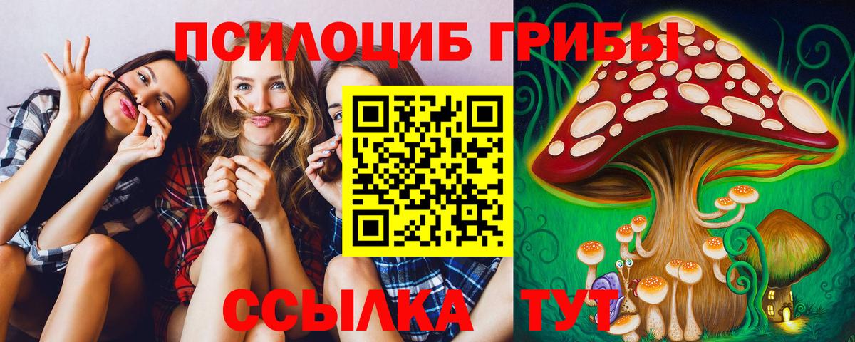 Галлюциногенные грибы Cubensis  Вход с VPN  Октябрьский 